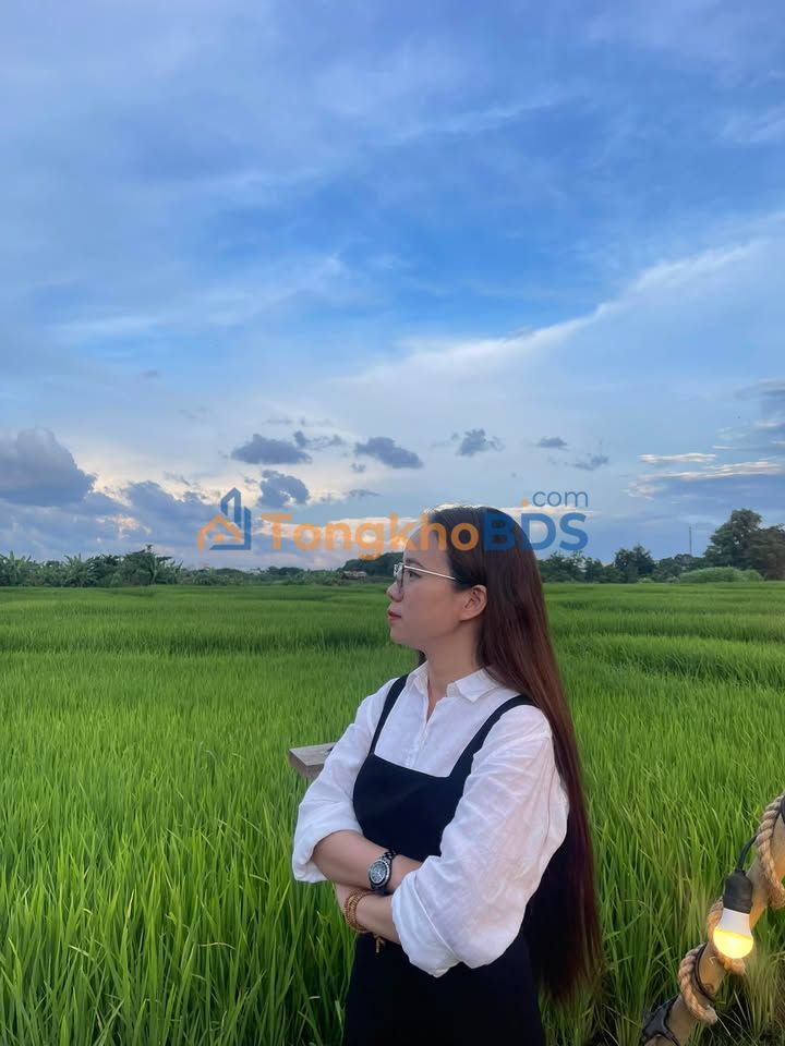 Đất mặt tiền QL61C Phong Điền 7.850m² 54.95 tỷ - Sổ đỏ chính chủ