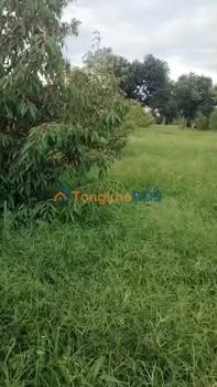 Đất An Dương Vương Krông Ana 4.030m² 5,2 tỷ - Sổ đỏ chính chủ