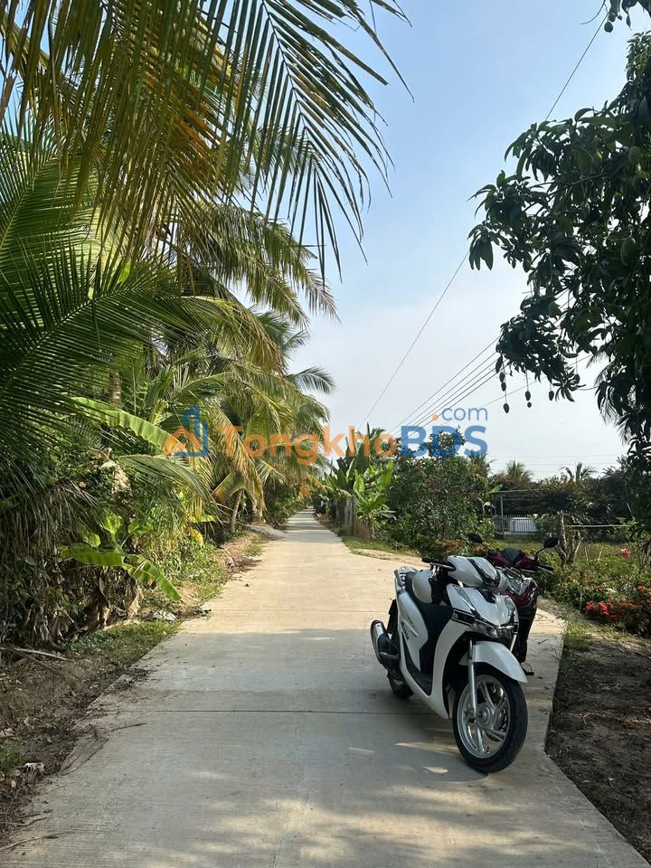 Đất nông nghiệp Trinh Phú 2.400m² 840 triệu - Sổ hồng sẵn