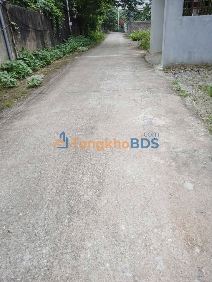 Đất nền Đạo Tú Tam Dương 130m² 1.1 tỷ - Sổ đỏ chính chủ