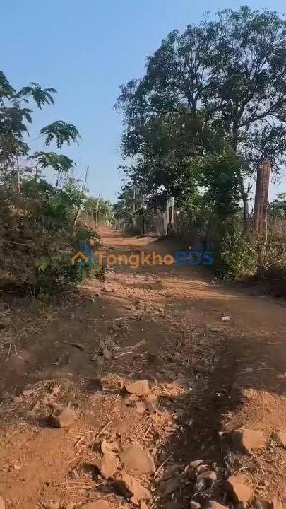 Đất nền Ea H'đinh Đắk Lắk 756m² 550 triệu - Đường to ô tô