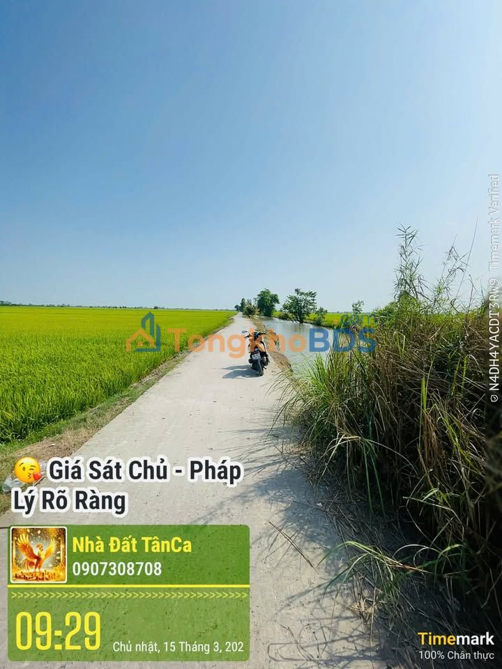 Đất nền Tân Mỹ Thanh Bình 2.775m² 950tr Sổ đỏ chính chủ