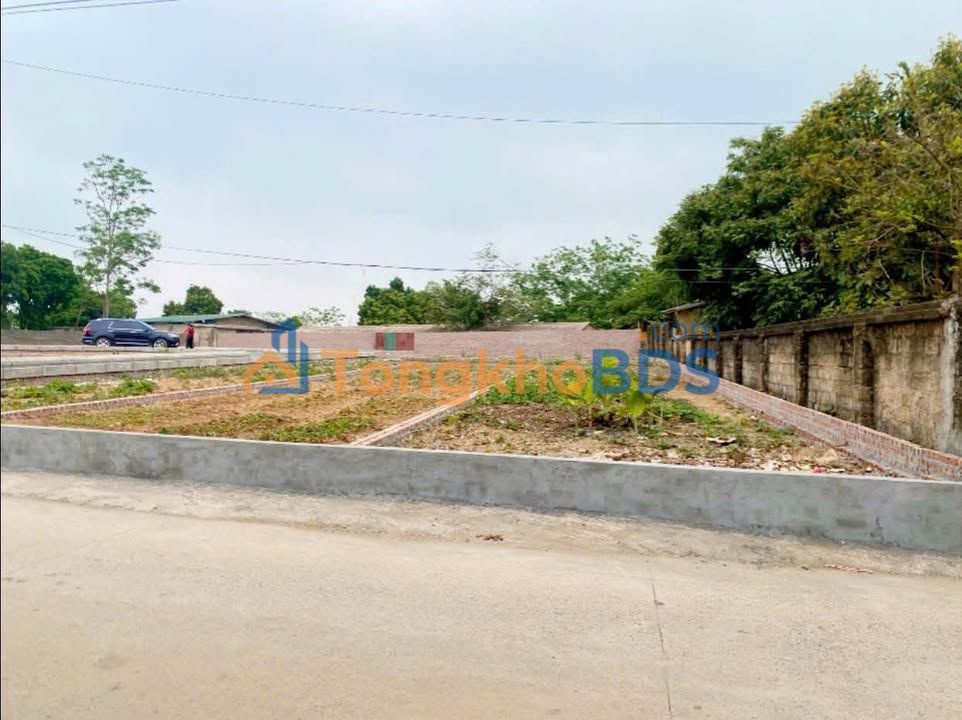 Đất nền Ba Vì An Thái 100m² hơn 1 tỷ - Giá F0 CĐT