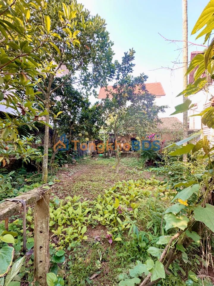 Đất nền Thanh Chiểu, Phú Cường 160m² trên 2 tỷ - Sổ đỏ chính chủ