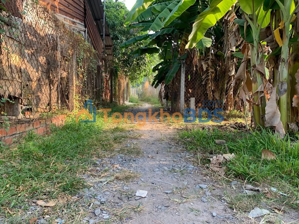 Đất nền Gò Dầu Tây Ninh 278m² 500 triệu - Tiềm năng tăng giá