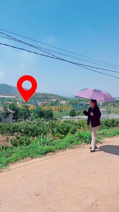 Đất nền Nam Ban Lâm Hà 650m² 1.7 tỷ - Sổ đỏ chính chủ