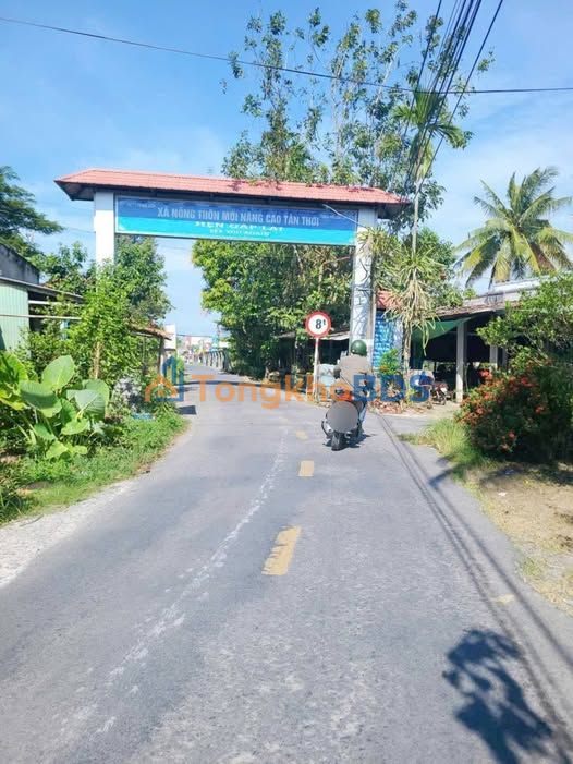 Đất nền Tân Thới Phong Điền 87m² 520tr - Xây dựng tự do