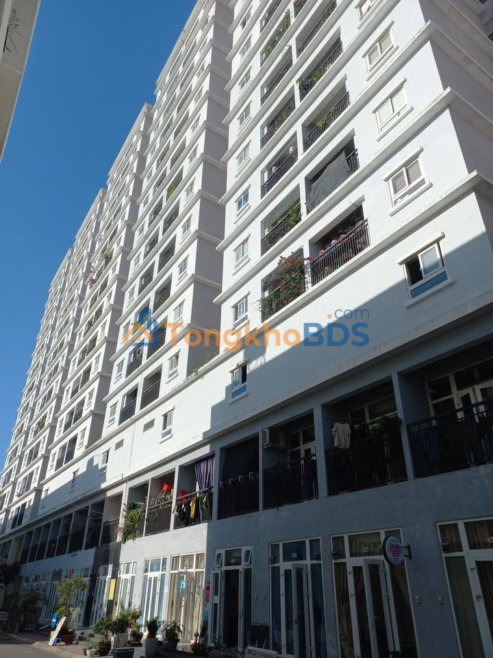 Căn hộ Xuân Thủy Quy Nhơn 37m² - View đẹp, sẵn ở