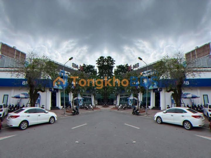 Nhà phố Long Biên 270m² 198 tỷ - Ô tô vào tận nhà