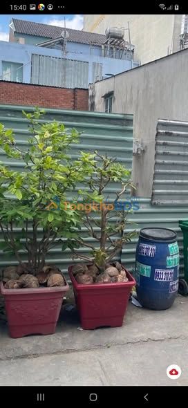 Đất nền Bình Tân 5×16m giá 4 tỷ - Sổ hồng chính chủ vị trí đắt giá