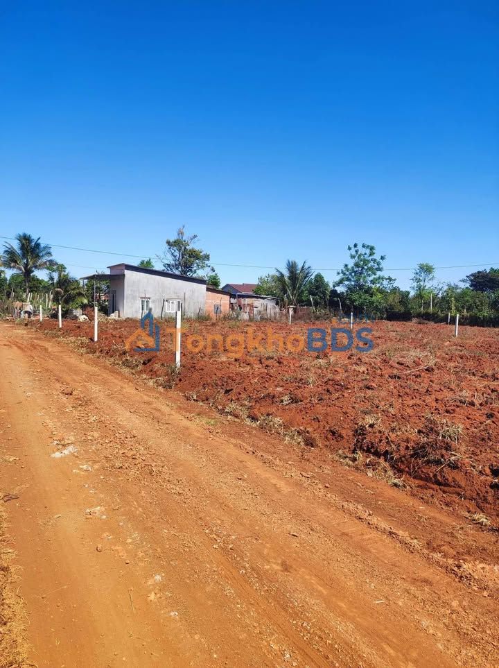 Đất nền Bình Tân Buôn Hồ 444m² 570 triệu - Tiềm năng tăng giá