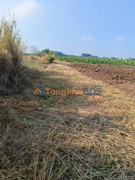 Đất CLN Hưng Thịnh Trảng Bom 1000m² 400tr - Sổ đỏ chính chủ