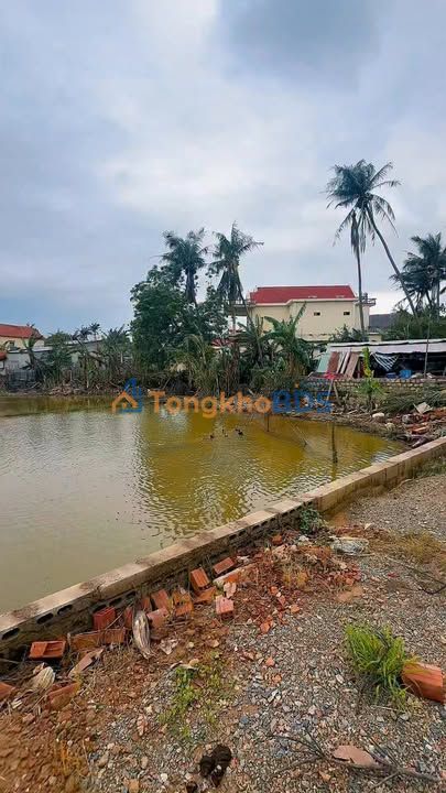 Đất nền Phường Xuân Yên Sông Cầu 1000m² dưới 5 tỷ - Sổ đỏ chính chủ