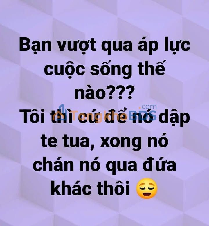 Nhà mặt tiền Phan Đăng Lưu Vũng Tàu 63m² 10 tỷ - Chính chủ