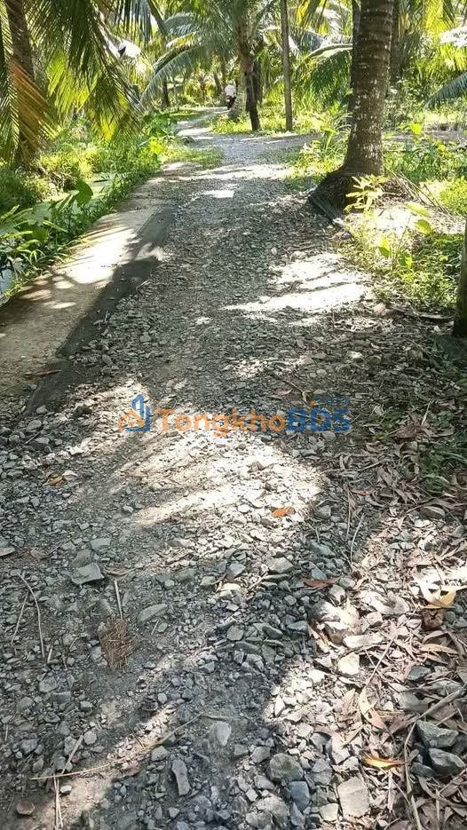 Đất vườn Hưng Nhượng Giồng Trôm 5,3c 2,1147tỷ - Sinh thái xanh