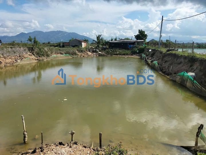 Đất nền Ninh Thọ 1812m² giá 7xx - Sổ đỏ chính chủ