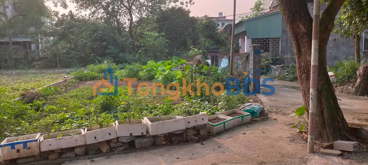 Đất nền Thị trấn Lương Sơn 99m² giá 1 tỷ - Sổ đỏ chính chủ