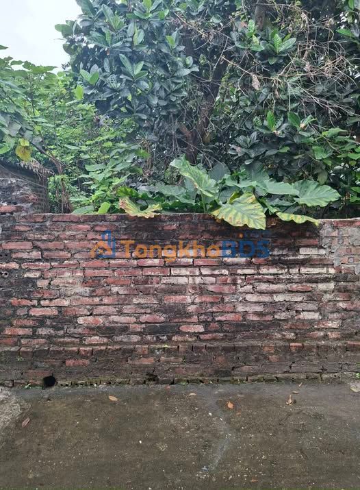 Đất nền Tân Trại Phú Cường 50m² - Sổ đỏ chính chủ, giá 1,9 tỷ