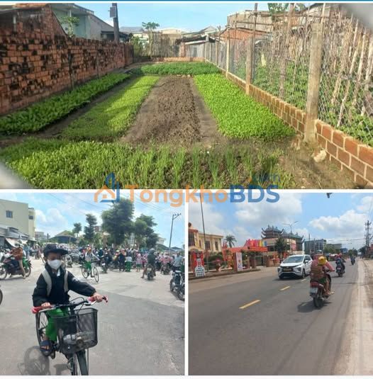 Đất Tuy Phước Phước Quang 115m² 4xx triệu - Sổ đỏ chính chủ