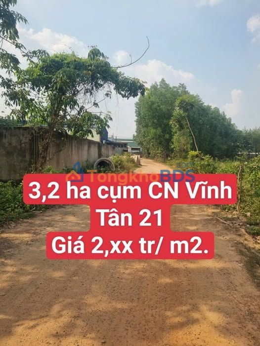 Đất nền Vĩnh Tân 21 Tân Uyên 32.000m² 64 tỷ - Tiềm năng tăng giá