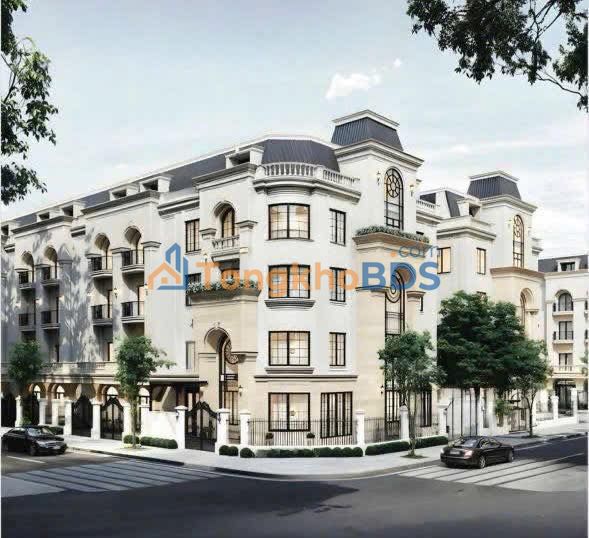 Townhouse Imperial Plaza Giải Phóng 100m² 3 tỷ - Thích hợp KD