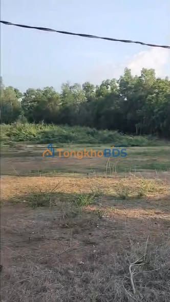 Đất nền Bình Tân 143000m² 700 triệu - Sổ đỏ chính chủ