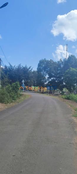 Đất nền Phường Phú Đức Bình Long 1440m² giá 2 tỷ - Sổ đỏ chính chủ