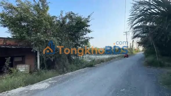 Đất nền Tân Chánh Long An 1.984m² 1.9 tỷ - Đường to ô tô