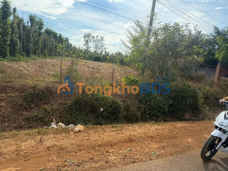 Đất TL5 Buôn Ma Thuột 600m² 153 tỷ - Sổ đỏ chính chủ