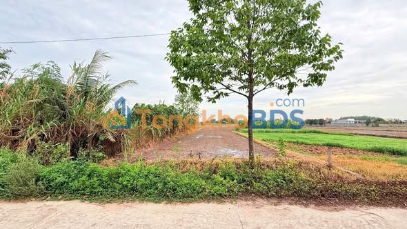 Nhà phố Đức Lập Hạ 500m² giá 3 tỷ - Mặt tiền kinh doanh