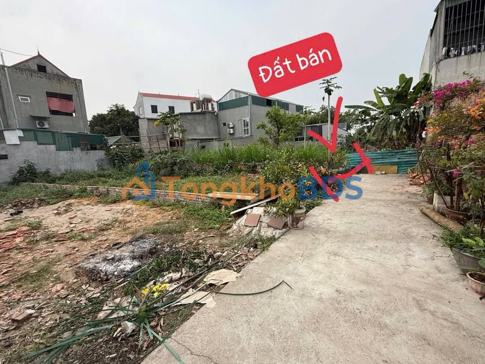 Đất thổ cư Thanh Trù Vĩnh Yên 128m² 1 tỷ - Sổ đỏ chính chủ