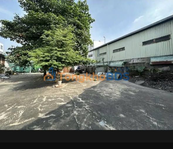 Đất nền cho thuê Nguyễn Hữu Tiến 1.000m² 75tr - Đường ô tô