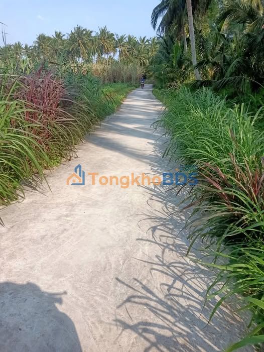 Đất nền Hoài Phú Hoài Nhơn 900m² - Sổ đỏ chính chủ