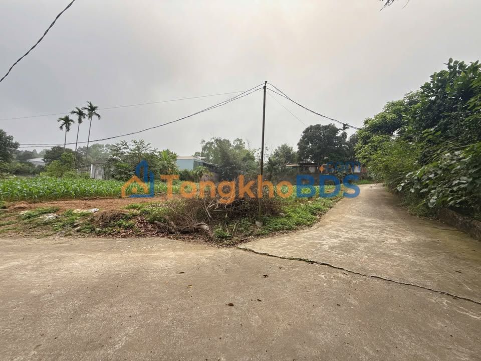 Đất nền Tiên Kiên Phú Thọ 130m² 600 triệu - Sổ đỏ chính chủ