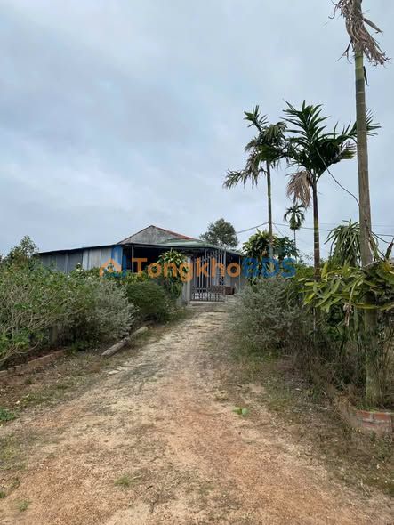 Đất vườn Ea Đar 1,6ha 11,11 tỷ - Sổ đỏ chính chủ