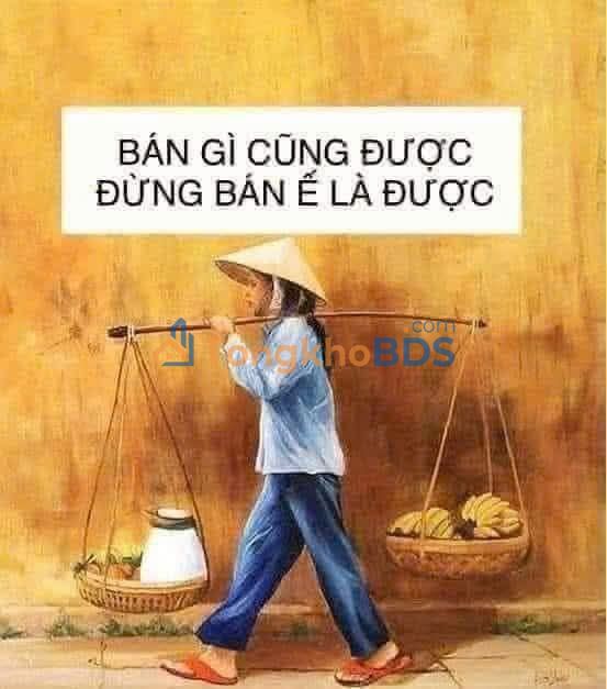 Đất nền Phú Nhuận 115m² 12.5 tỷ - Sổ đỏ chính chủ