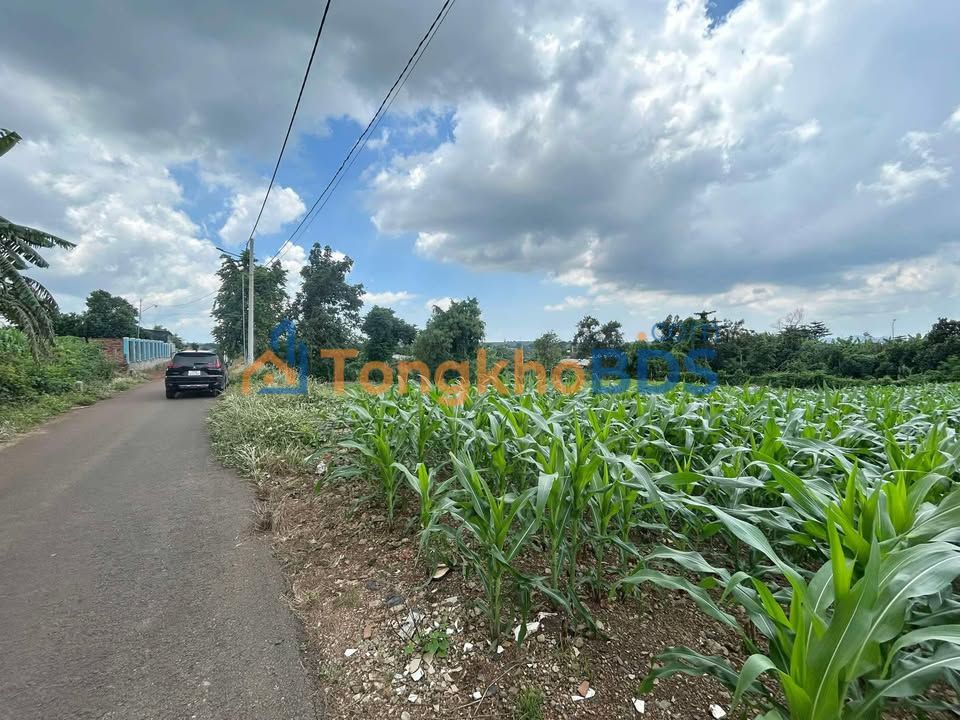 Đất nền Suối Nghệ 623m² 2.6 tỷ - Tiềm năng tăng giá