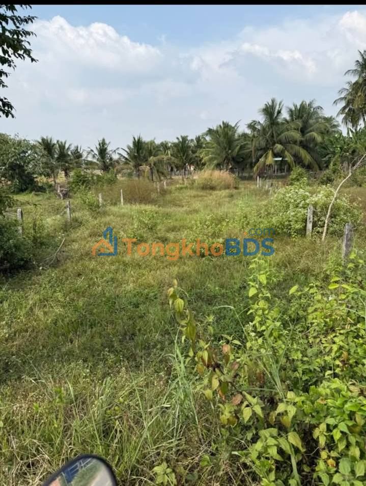 Đất nền An Bình Tây Ninh 227m² 600 triệu - Sổ hồng