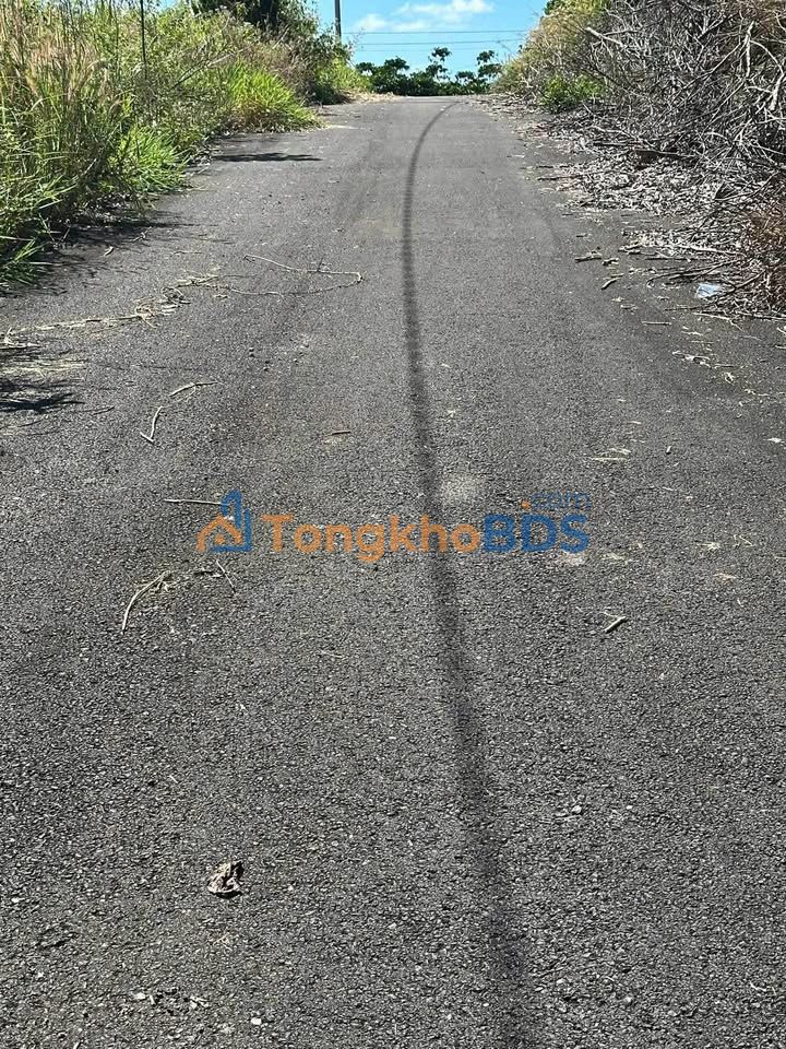 Đất nền Bảo Lộc 110m² giá 1.2 tỷ - Sổ đỏ chính chủ