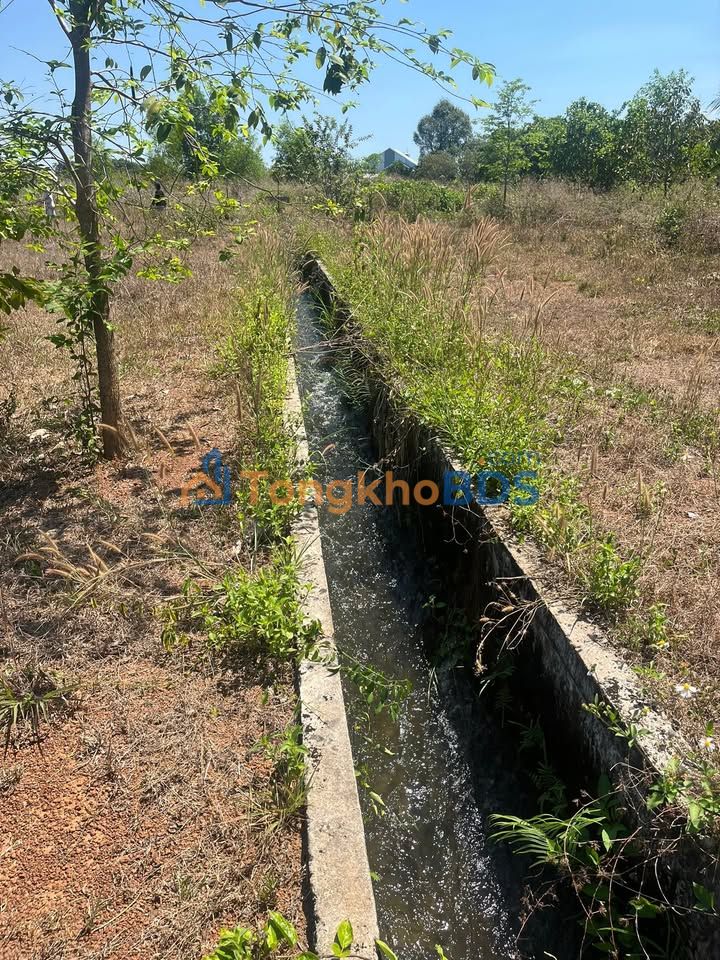 Đất nền Xuân Thọ Xuân Lộc 720m² 1.28 tỷ - Sổ đỏ chính chủ