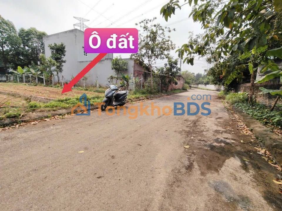 Đất thổ cư Tam Dương 150m² 1.8 tỷ - Sổ đỏ chính chủ