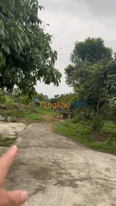 Đất nền Tiền Phong 400m² 2.8 tỷ - Sổ đỏ chính chủ