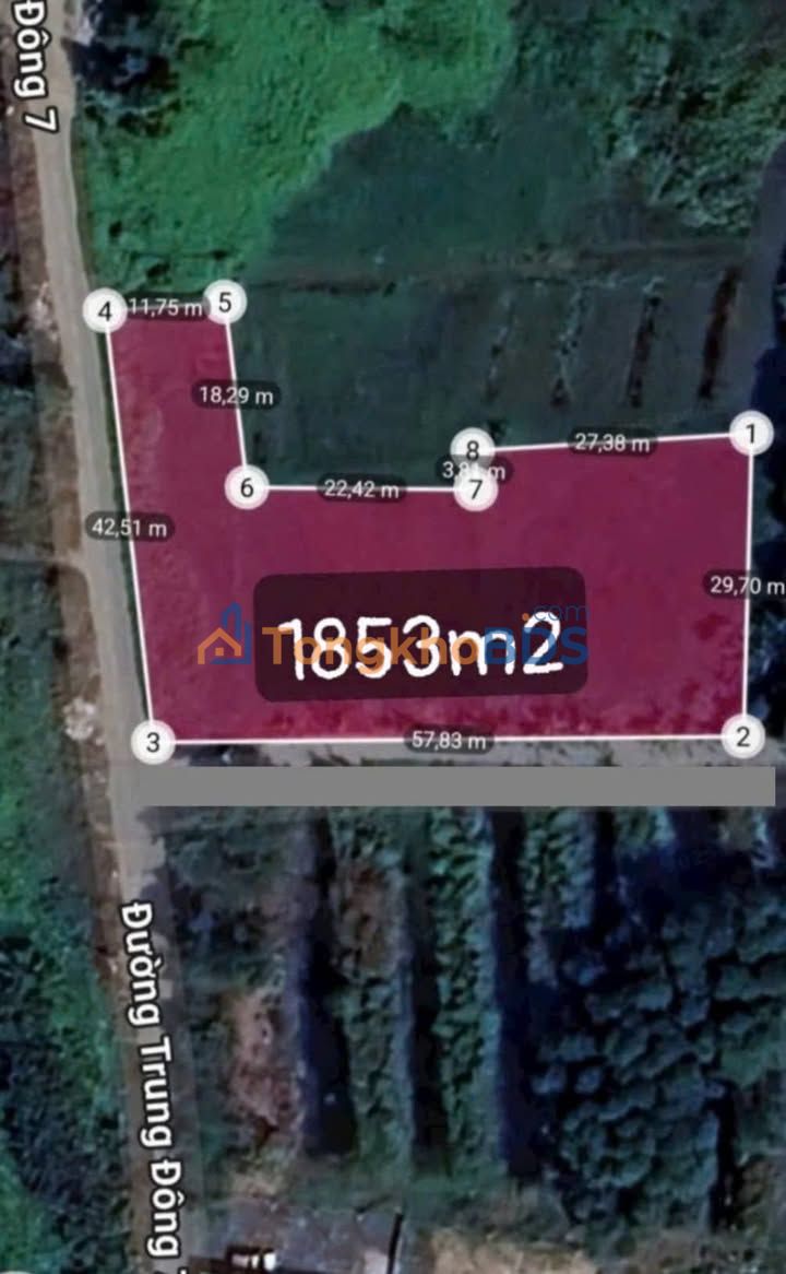 Đất Thới Tam Thôn Hóc Môn 1853m² 12.9 tỷ - Sổ đỏ chính chủ