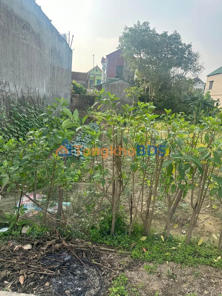 LandProjectSell Bắc Ninh Thuận Thành 120m² giá 360 triệu - Sổ đỏ rõ ràng, xây dựng tự do