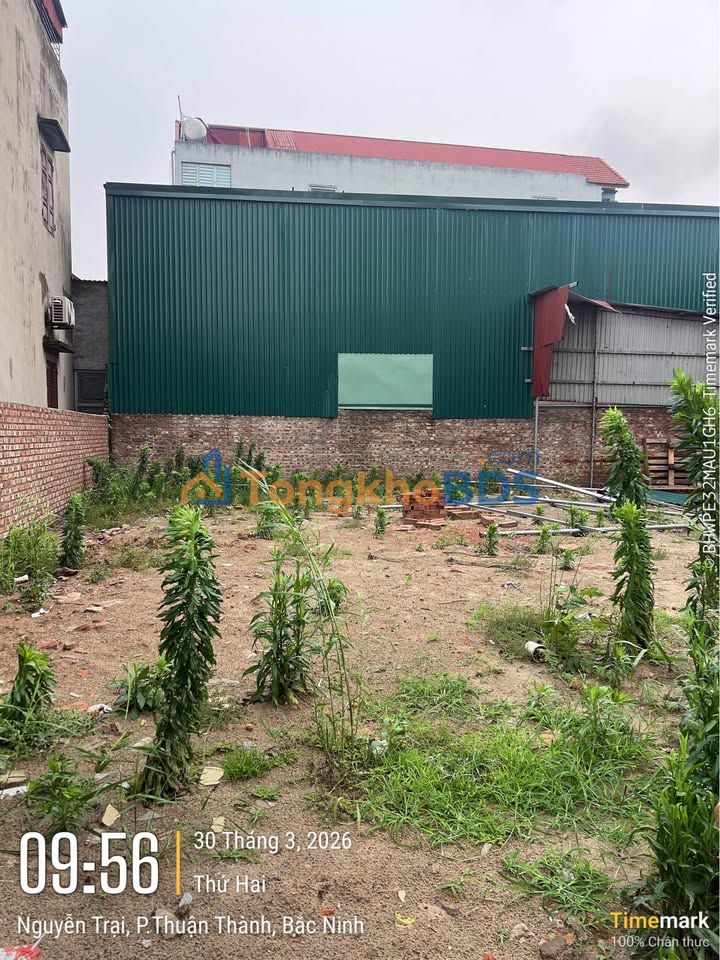 Đất Thuận Thành Bắc Ninh 74m² giá 3 tỷ - Đường to ô tô tránh