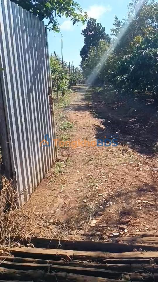 Đất nền Trần Khắc Chân Buôn Hồ 500m² 350 triệu - Sổ đỏ chính chủ