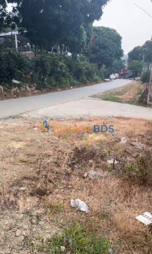 Đất nền Ba Vì 2.500m² giá 20 tỷ - Sổ đỏ chính chủ