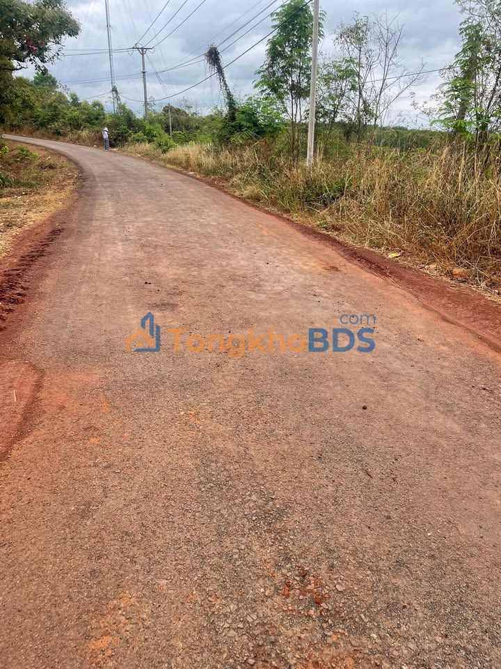 Đất nền Ia Kly 2.5ha 2 tỷ - Sổ đỏ chính chủ mặt tiền 190m