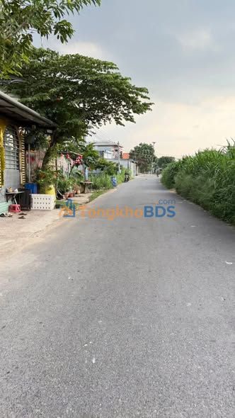 Đất nền Thuận An Tân Vĩnh Hiệp 125m² 2.1 tỷ - Sổ đỏ chính chủ