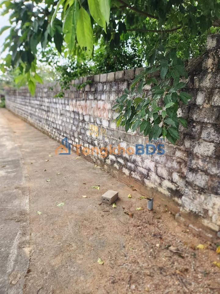 Đất nền Lê Lợi Quảng Yên 1.523m² 3.1 tỷ - Sổ đỏ chính chủ